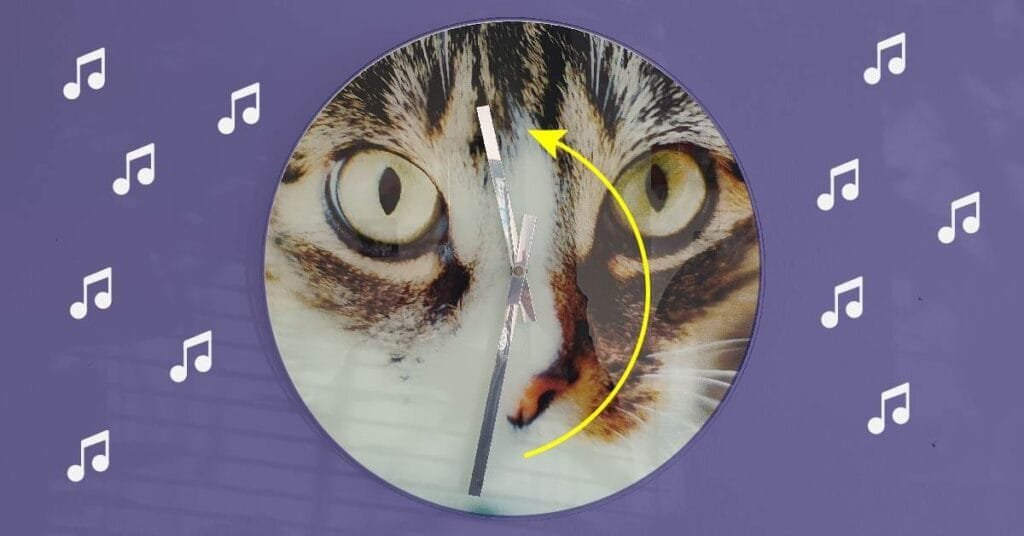 How to reduce setup time for band gigs