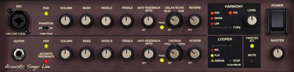 acoustic guitar channel and vocals channel on acoustic guitar amp